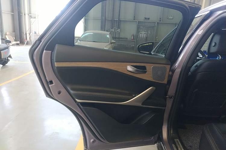 Used Denza X 2020 PHEV Flagship Edition Left Rear Door Interior