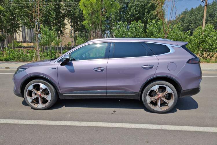 Used Denza X 2020 PHEV Flagship Edition Left Side