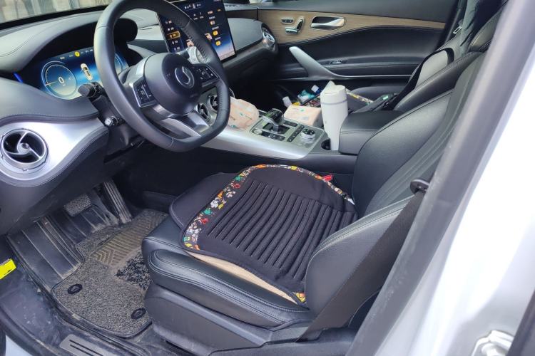 Used Denza X 2020 PHEV Classic Edition Left Front Seat