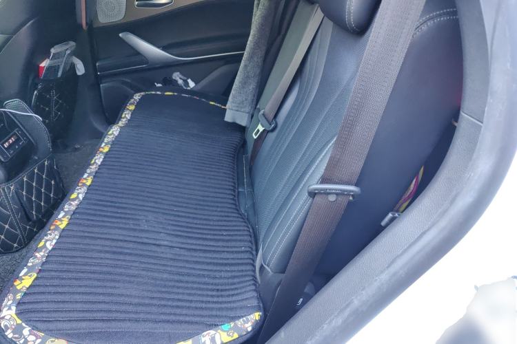 Used Denza X 2020 PHEV Classic Edition Left Rear Seat