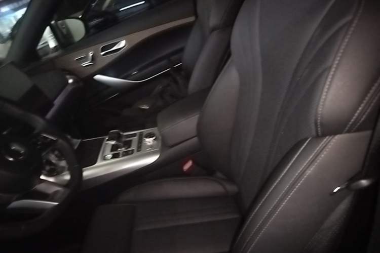Used Denza X 2020 PHEV Classic Edition Left Front Seat