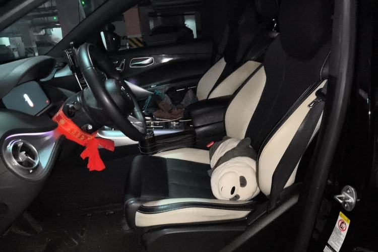 Used Denza X 2020 PHEV Sport Edition Left Front Seat