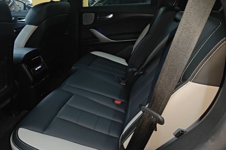 Used Denza X 2020 PHEV Sport Edition Left Rear Seat