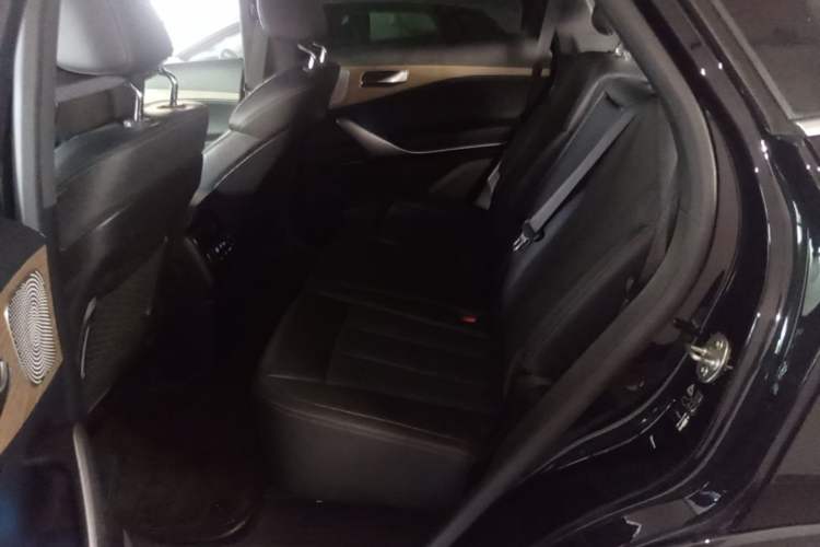 Used Denza X 2020 PHEV Classic Edition Left Rear Seat