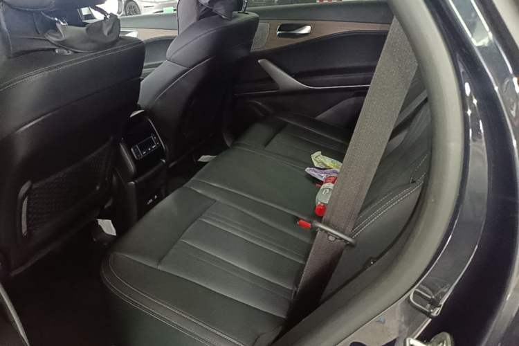 Used Denza X 2020 PHEV Classic Edition Left Rear Seat