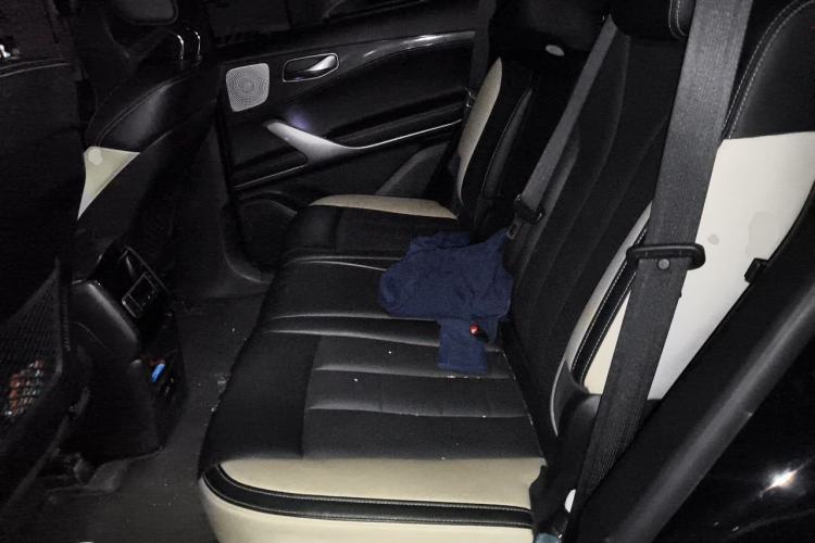 Used Denza X 2020 PHEV Sport Edition Left Rear Seat