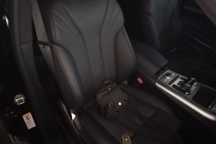 Used Denza X 2020 PHEV Classic Edition Right Front Seat
