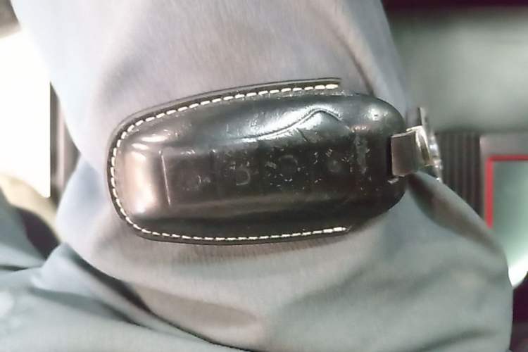Used Denza X 2020 PHEV Flagship Edition Vehicle Key