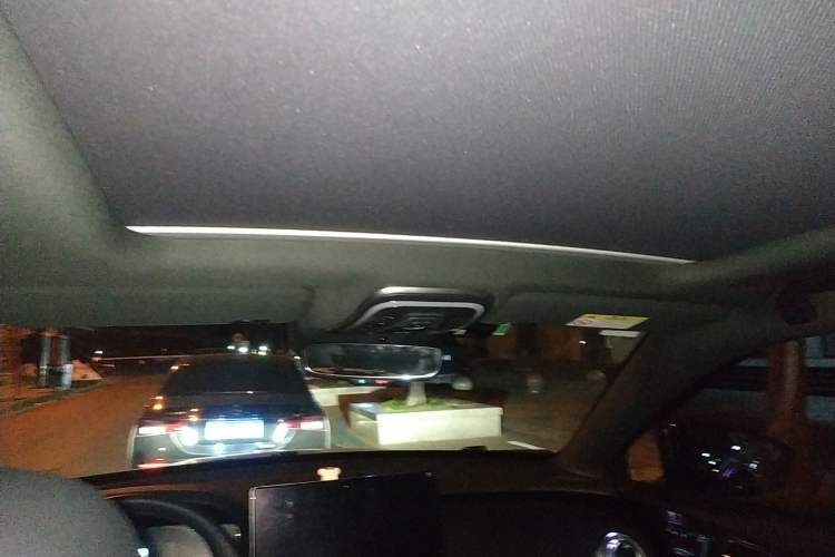 Used Denza X 2020 Pure Electric Sport Edition Headliner