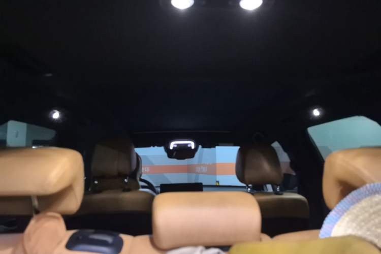 Used Denza X 2020 PHEV Classic Edition Headliner