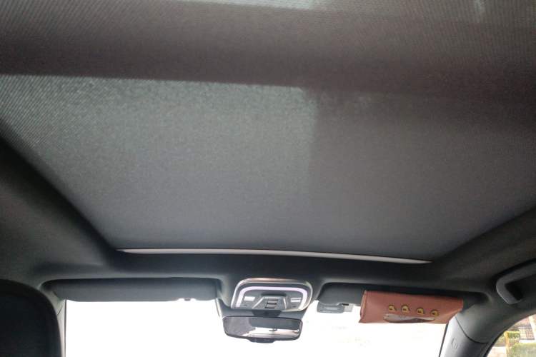 Used Denza X 2020 PHEV Flagship Edition Headliner
