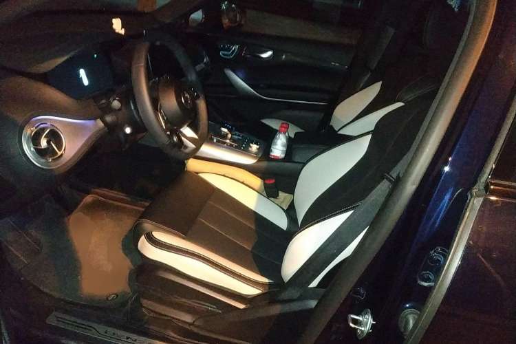 Used Denza X 2020 Pure Electric Sport Edition Left Front Seat