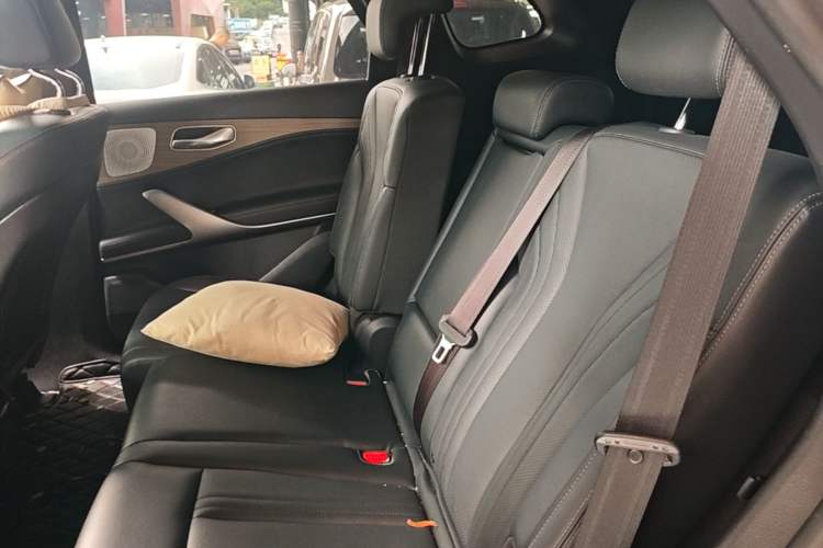 Used Denza X 2020 PHEV Classic Edition Left Rear Seat