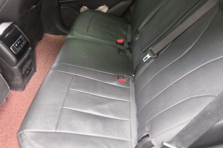 Used Denza X 2020 PHEV Classic Edition Left Rear Seat