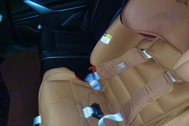 Used Denza X 2020 PHEV Flagship Edition Left Rear Seat