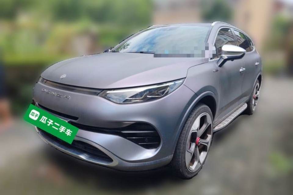 Denza X 2020
