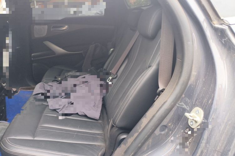 Used Denza X 2020 PHEV Flagship Edition Left Rear Seat