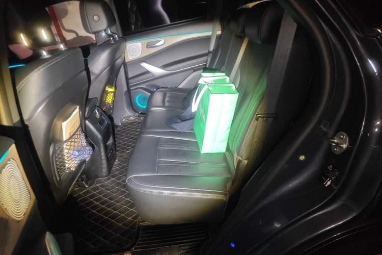 Used Denza X 2020 PHEV Flagship Edition Left Rear Seat