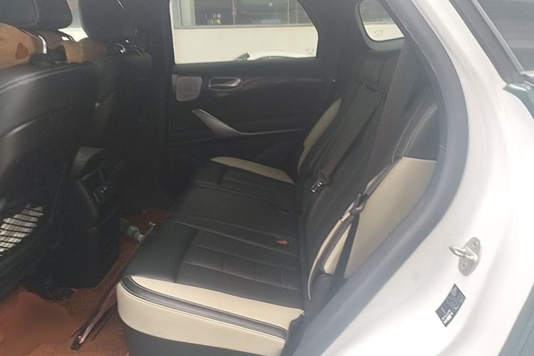 Used Denza X 2020 PHEV Sport Edition Left Rear Seat