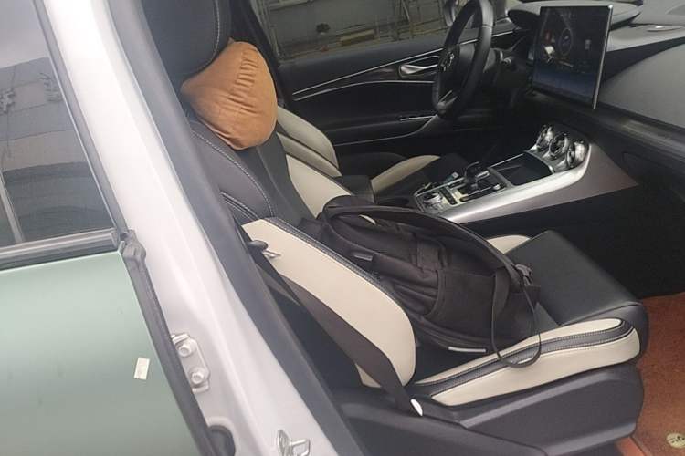Used Denza X 2020 PHEV Sport Edition Right Front Seat