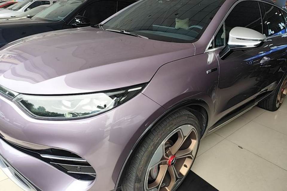 Denza X 2020
