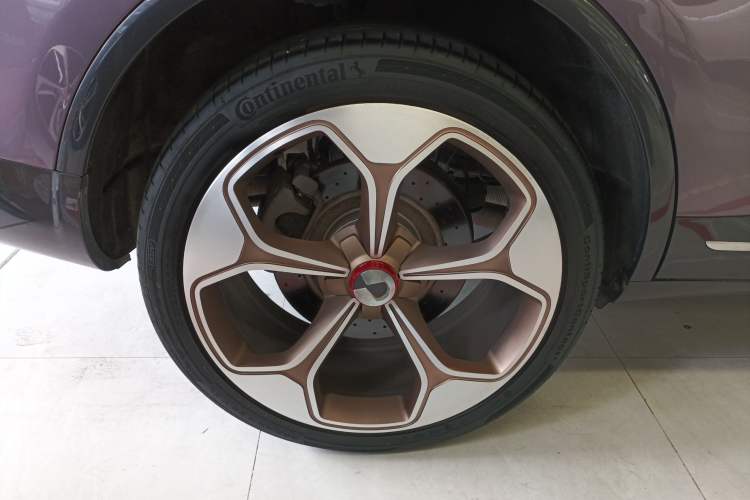 Used Denza X 2020 PHEV Flagship Edition Exterior 6