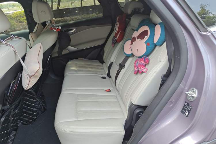 Used Denza X 2020 All-Electric Flagship Model Left Rear Seat
