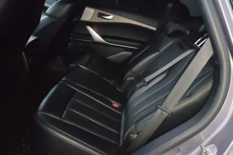 Used Denza X 2020 All-Electric Flagship Model Left Rear Seat