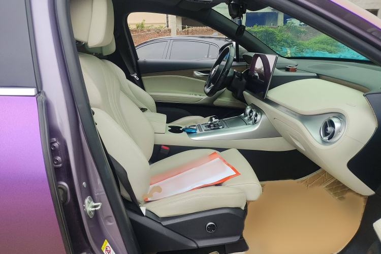 Used Denza X 2020 All-Electric Flagship Model Right Front Seat