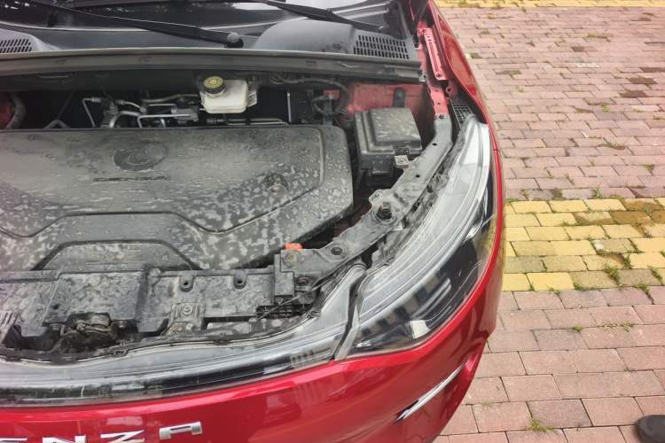 Used Denza X 2020 Pure Electric Classic Edition Engine Bay Left