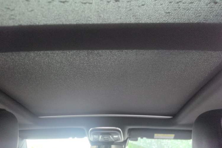 Used Denza X 2020 Pure Electric Classic Edition Headliner