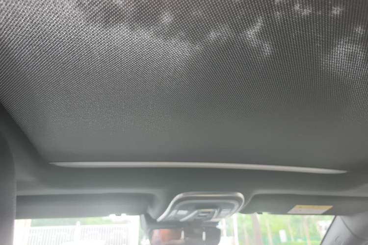 Used Denza X 2020 Pure Electric Classic Edition Headliner