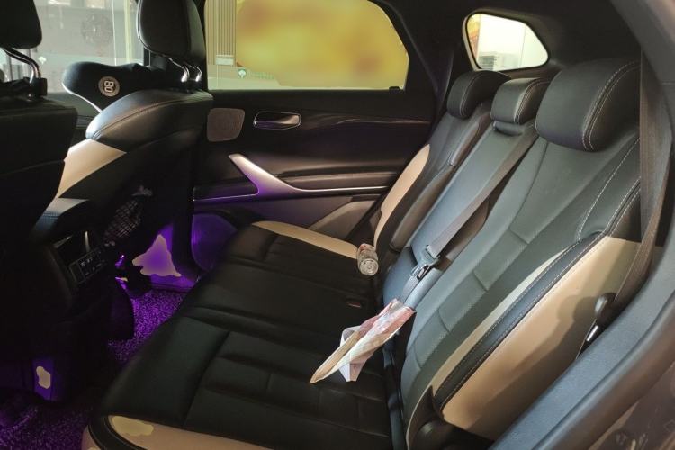Used Denza X 2020 PHEV Sport Edition Left Rear Seat