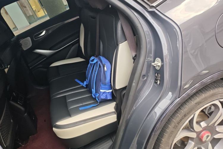 Used Denza X 2020 PHEV Sport Edition Left Rear Seat