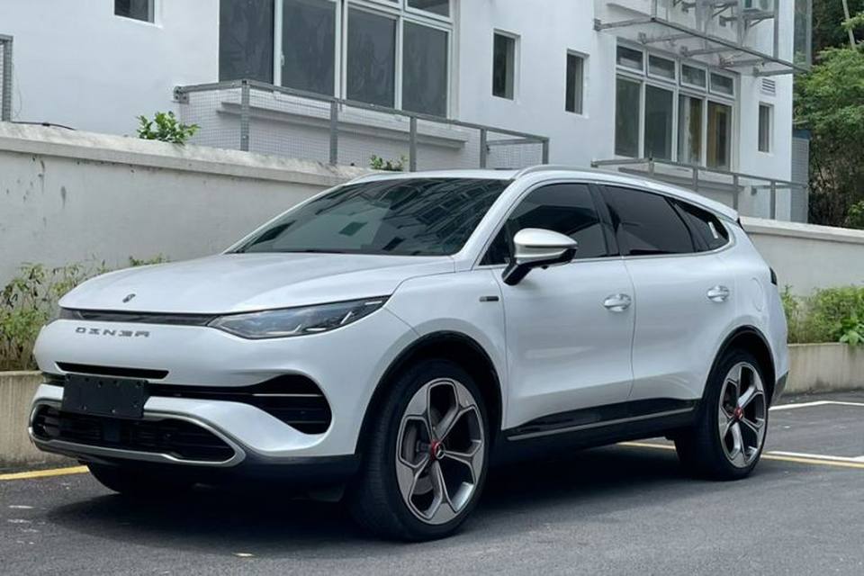 Denza X 2020