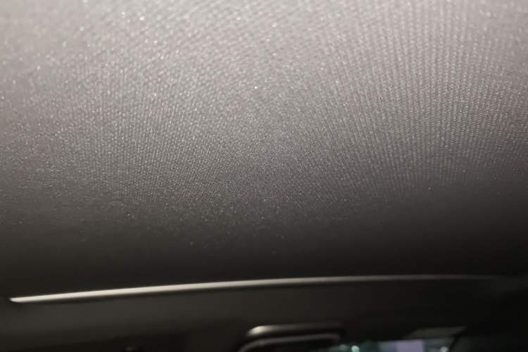 Used Denza X 2020 PHEV Flagship Edition Headliner