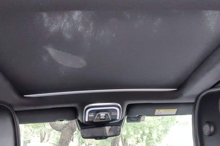 Used Denza X 2020 PHEV Flagship Edition Headliner