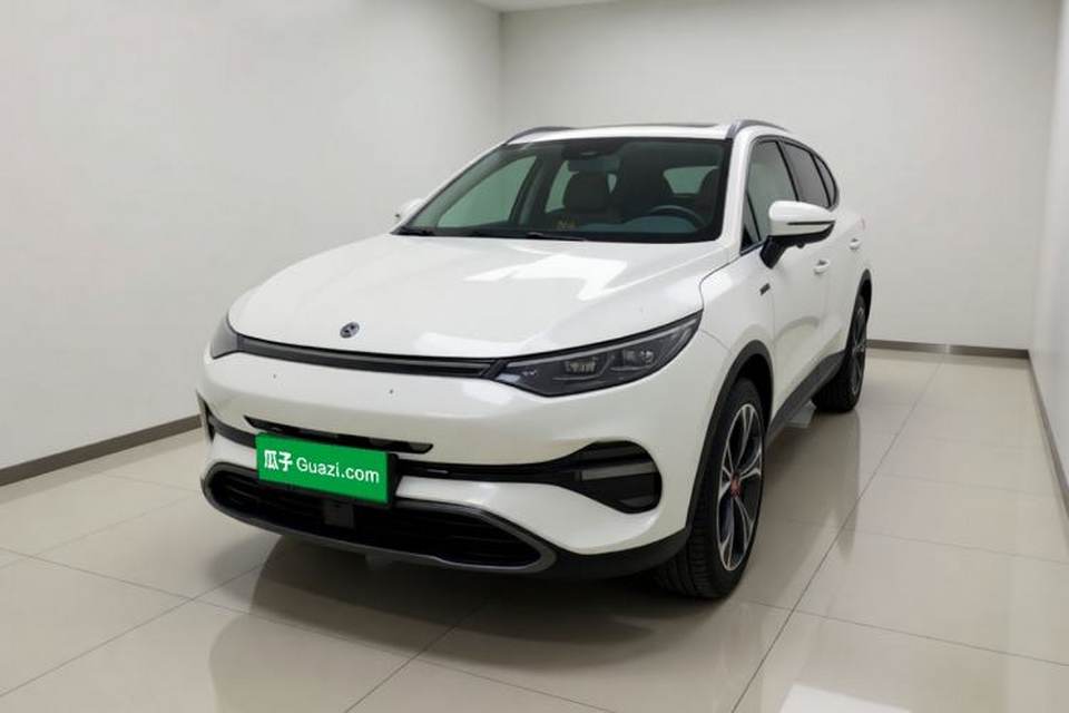Denza X 2020
