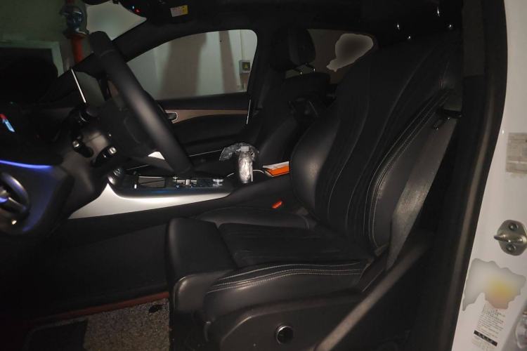 Used Denza X 2020 PHEV Flagship Edition Left Front Seat