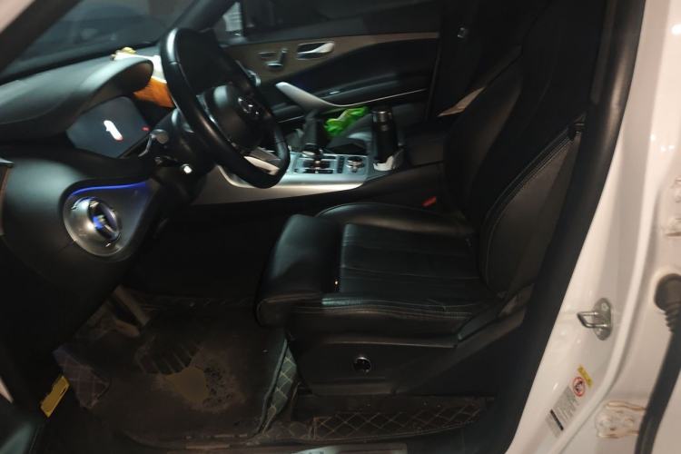 Used Denza X 2020 PHEV Flagship Edition Left Front Seat