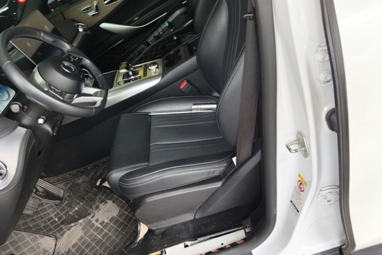 Used Denza X 2020 PHEV Classic Edition Left Front Seat