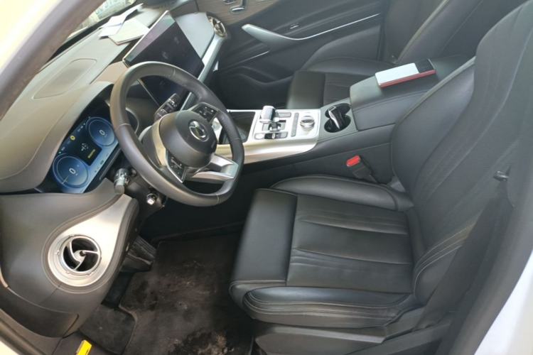 Used Denza X 2020 Pure Electric Classic Edition Left Front Seat