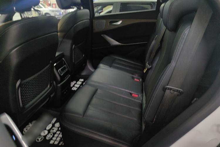 Used Denza X 2020 PHEV Flagship Edition Left Rear Seat