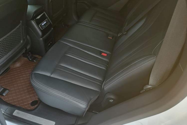 Used Denza X 2020 PHEV Flagship Edition Left Rear Seat