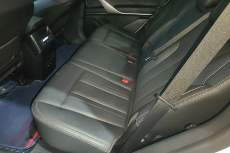 Used Denza X 2020 PHEV Flagship Edition Left Rear Seat