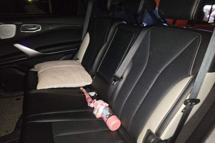 Used Denza X 2020 PHEV Sport Edition Left Rear Seat