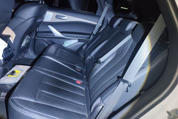 Used Denza X 2020 PHEV Flagship Edition Left Rear Seat