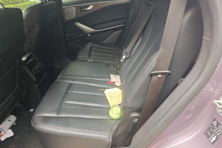 Used Denza X 2020 PHEV Flagship Edition Left Rear Seat