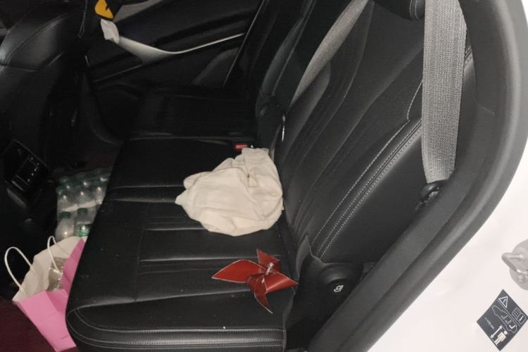 Used Denza X 2020 PHEV Flagship Edition Left Rear Seat