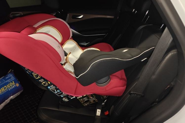 Used Denza X 2020 PHEV Classic Edition Left Rear Seat